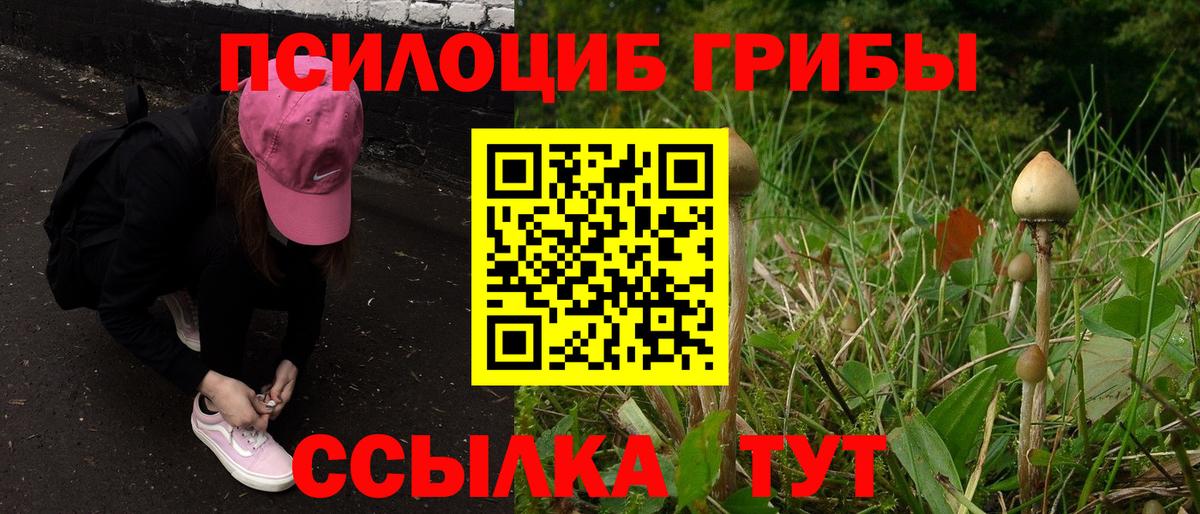 Псилоцибиновые грибы Magic Shrooms  Вход с VPN  Шелехов 