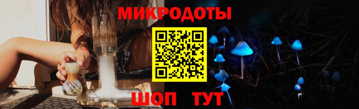 Галлюциногенные грибы Cubensis Шелехов